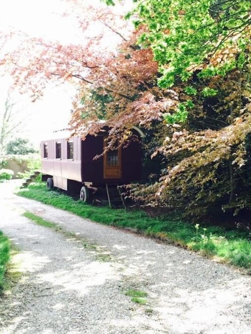 Luxurious 1930S Showman'S Wagon Heathfield Bagian luar foto